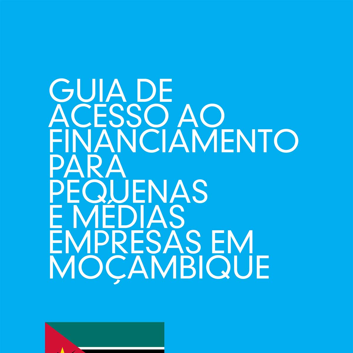 Access to Finance Guide for Small and Medium Sized Businesses in Mozambique (2016)