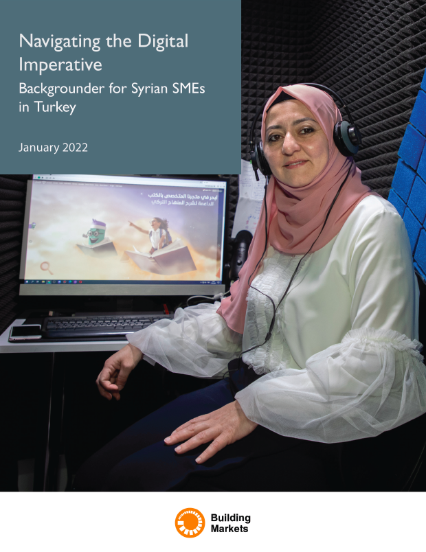 استكشاف مشهد الرقمنة: معلومات أساسية عن الشركات السورية الصغيرة والمتوسطة في تركيا (2022)