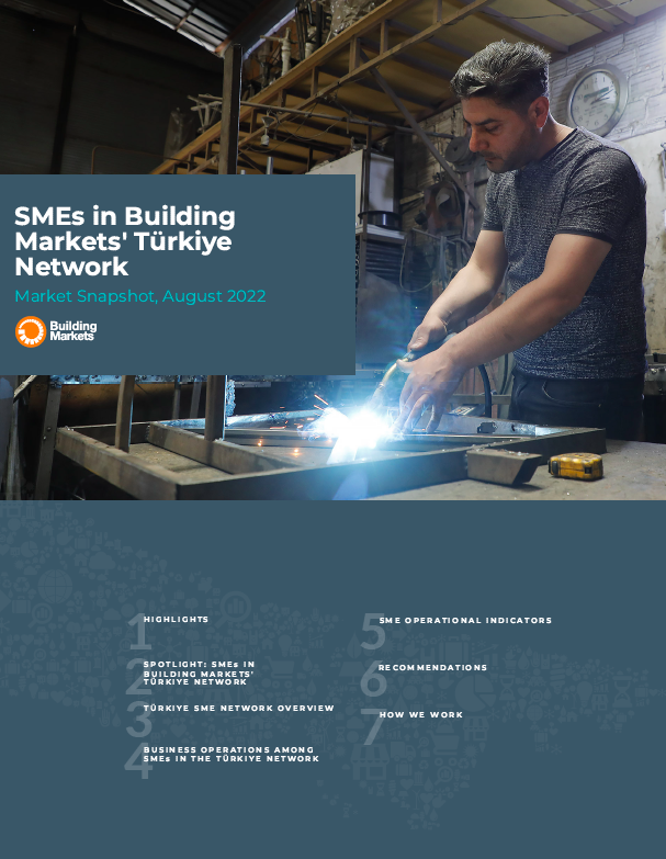 SME Snapshot: SMEs in Building Markets’ Turkiye Network (2022)
