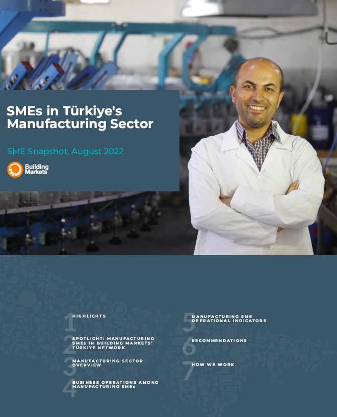 SME Snapshot: SMEs in Türkiye’s Manufacturing Sector