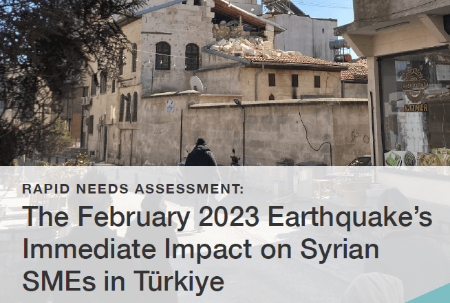 Executive Summary: SME Earthquake Needs Assessment