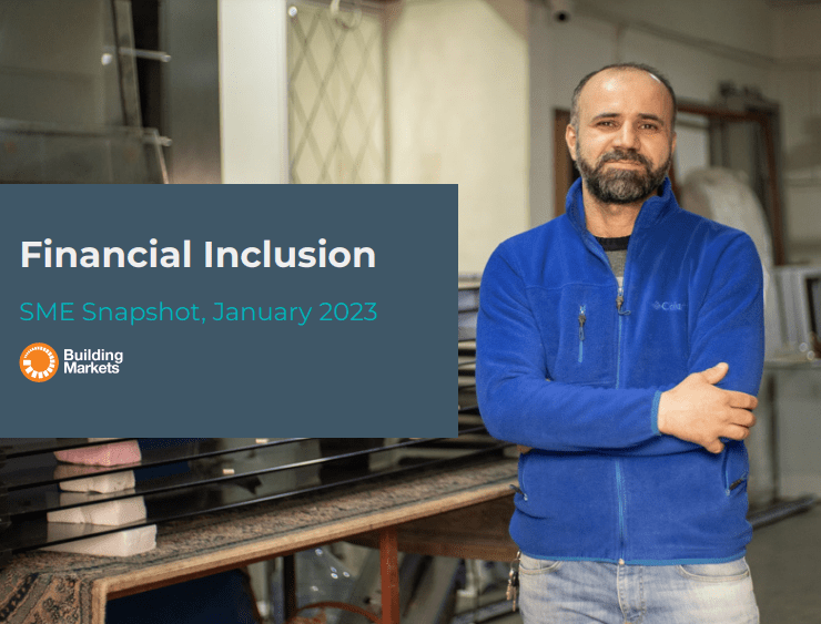 SME Snapshot: Financial Inclusion