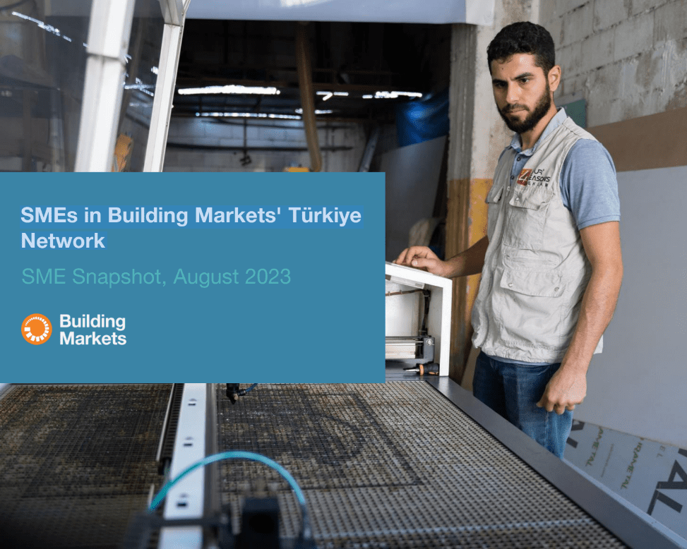 SME Snapshot: SMEs in Building Markets’ Türkiye Network (2023)