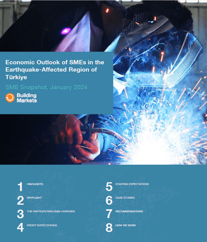 SME Snapshot: Economic Outlook of SMEs in the Earthquake-Affected Region of Türkiye (2024)