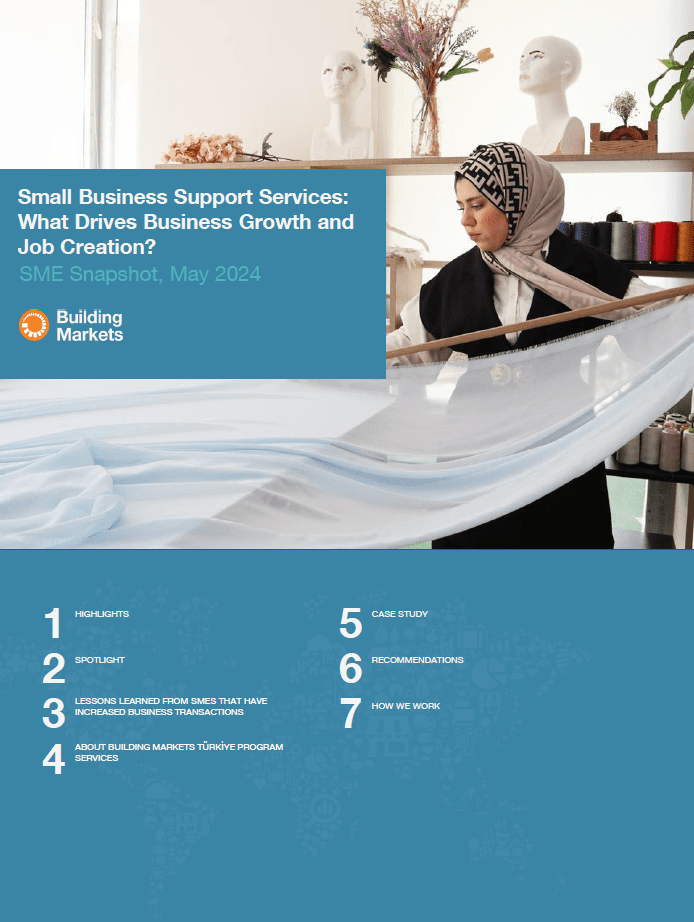 SME Snapshot: Small Business Support Services, What Drives Business Growth and Job Creation? (2024)